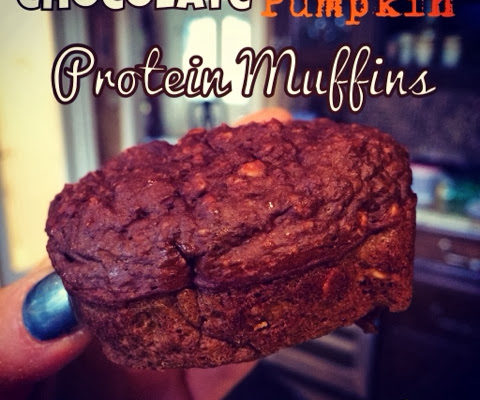 Chocolate Pumpkin Protein Muffins